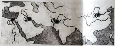 图片_x0020_100004