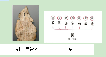 图片_x0020_100007
