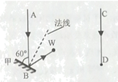 图片_x0020_100013