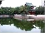 图片_x0020_100015
