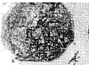 图片_x0020_100002