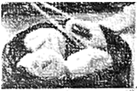 图片_x0020_100001