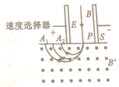 图片_x0020_100005