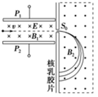 图片_x0020_100016