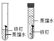 图片_x0020_100003