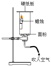 图片_x0020_12350765