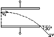 图片_x0020_100013