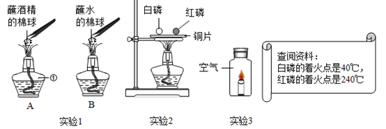 图片_x0020_1841780907