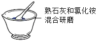 图片_x0020_231226429