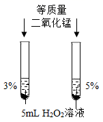 图片_x0020_100001