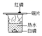 图片_x0020_100002