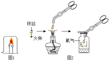 图片_x0020_1851518292