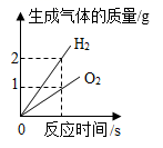 图片_x0020_1974111956