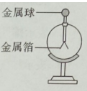 图片_x0020_100010