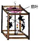 图片_x0020_100022