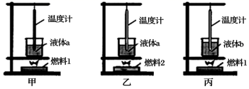 图片_x0020_100012