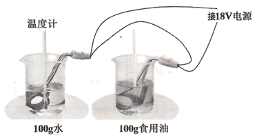 图片_x0020_100023