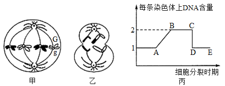 图片_x0020_100004