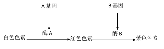 图片_x0020_100004