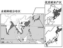 图片_x0020_6