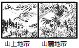 图片_x0020_100002