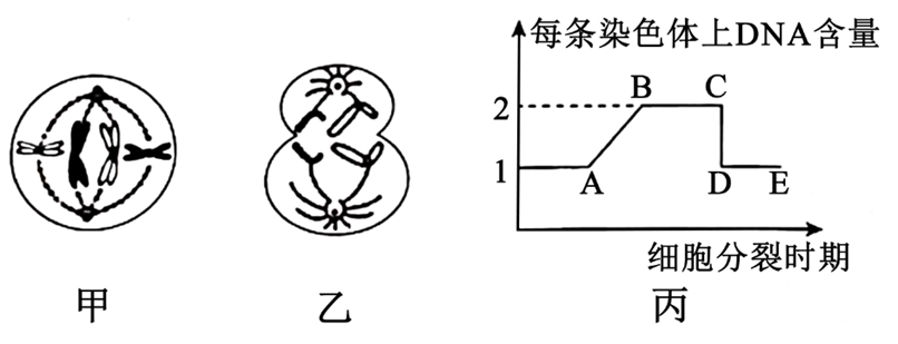 图片_x0020_100003