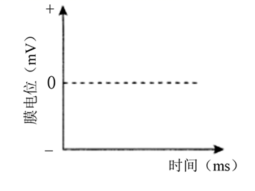 图片_x0020_100014