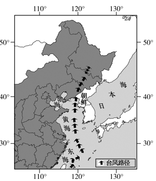 图片_x0020_100016
