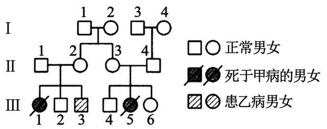 图片_x0020_784111567