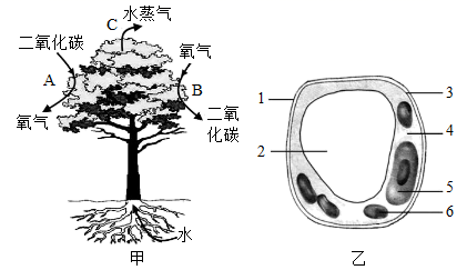图片_x0020_1904497213