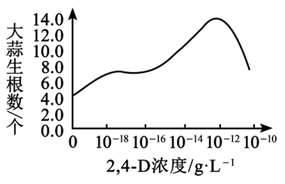 图片_x0020_100011