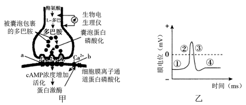 图片_x0020_100013