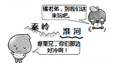 图片_x0020_100020