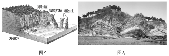 图片_x0020_100016