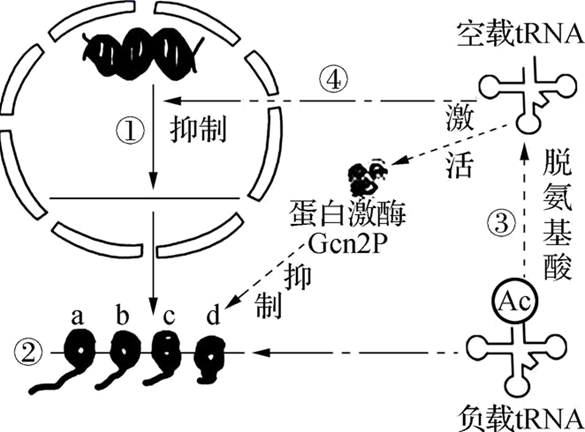 图片_x0020_100007