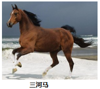 图片_x0020_1147752688