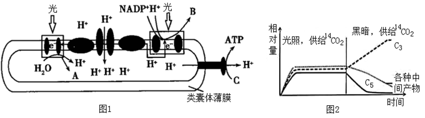 图片_x0020_100022