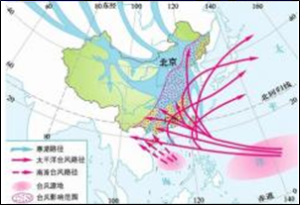 图片_x0020_100006