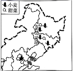 图片_x0020_100001