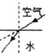 图片_x0020_100010