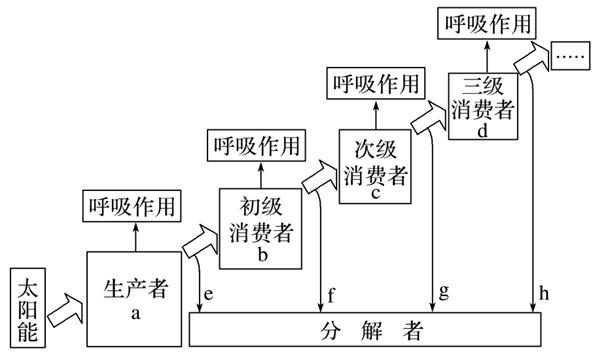 图片_x0020_100007