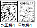 图片_x0020_100005