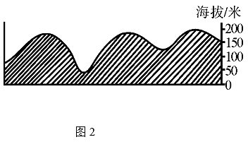 图片_x0020_265655838