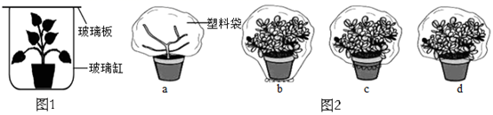 图片_x0020_100002