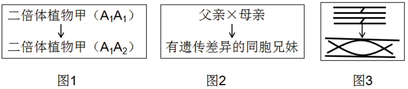 图片_x0020_100007