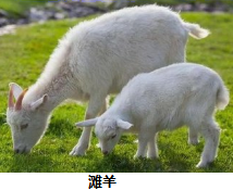 图片_x0020_1606952698
