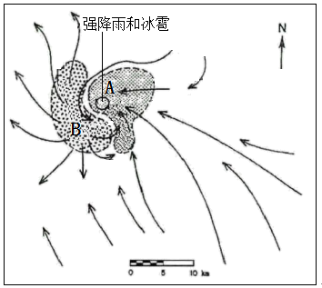 图片_x0020_100010
