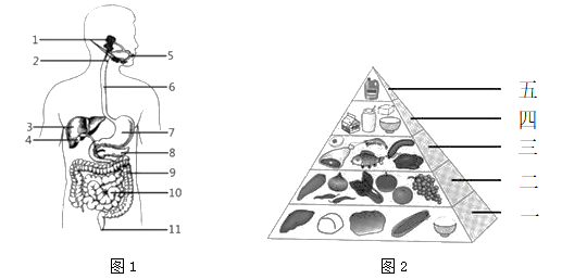 图片_x0020_1416623297