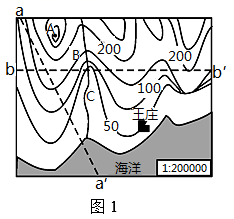 图片_x0020_1100608546