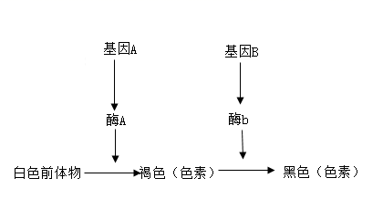 图片_x0020_100005